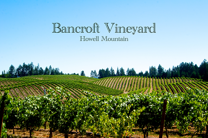Bancroft Vineyard Howell Mountain